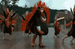 Turkey Dance Festival GIF