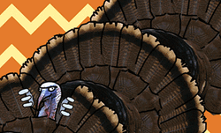 Turkey Day Birds Peeking Behind Feathers GIF