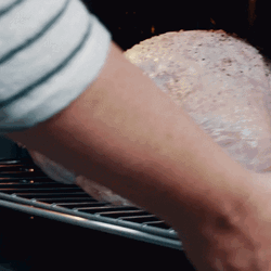 Turkey Day Cooking Bird In Oven GIF