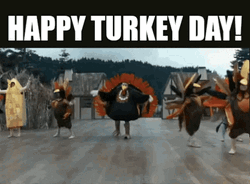 Turkey Day Men Wearing Bird Costumes GIF