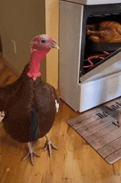 Turkey In Front Of Stove With Hot Wife Doormat GIF