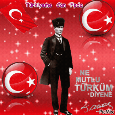 Turkey Meme Can Feda GIF
