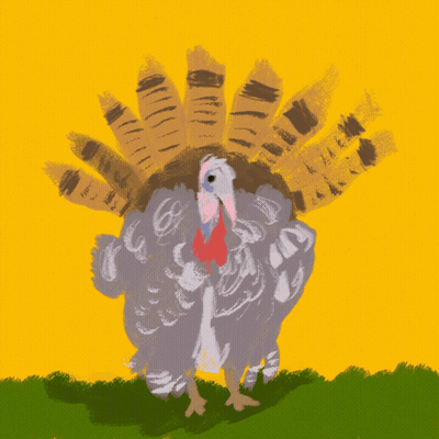 Turkey Spreading Feathers GIF