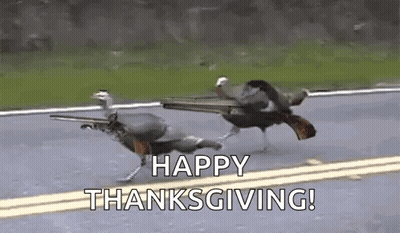 Turkeys Running Down Road With Guns GIF