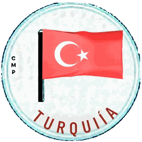 Turkish Flag With White Star And Crescent Sticker