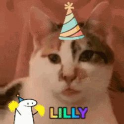 Turkish Van Party Cat GIF