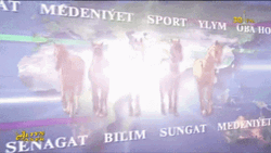 Turkmenistan Amazing Culture Animation GIF