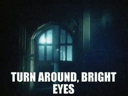 Turn Around Bright Eyes GIF