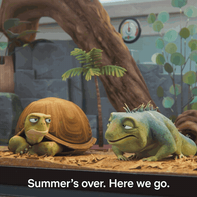 Turtle And Lizard In Tank Summer's Over Here We Go GIF