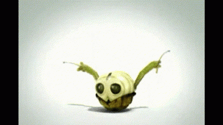 Turtle Dancing While Holding Drumsticks GIF