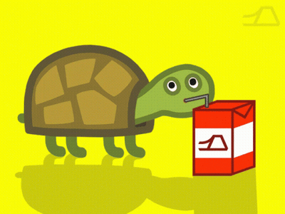 Turtle Drinking Juice Carton GIF