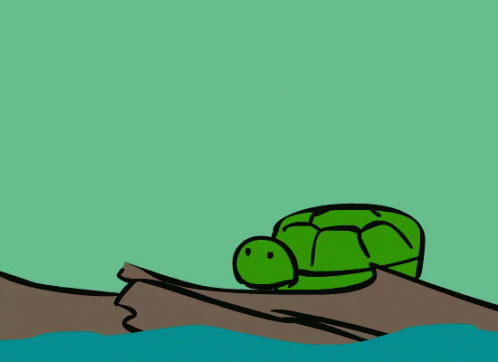 Turtle Looking At Fly GIF
