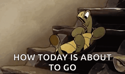 Turtle Lying On Rock How Today Will Go GIF