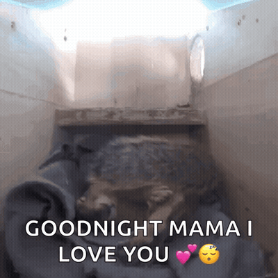 Turtle Saying Goodnight Mama I Love You