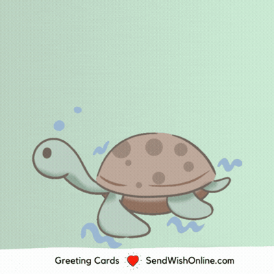 Turtle Saying Sorry For Late GIF