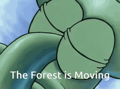 Turtle Saying The Forest Is Moving GIF