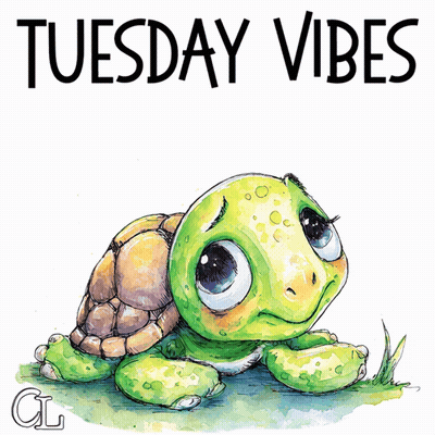 Turtle Saying Tuesday Vibes