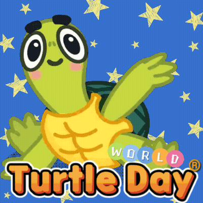 Turtle Saying Turtle Day GIF