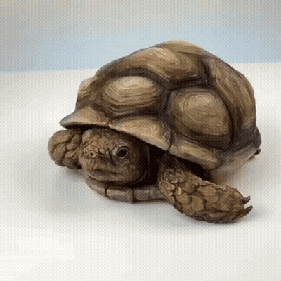 Turtle Statue Sitting On Table GIF