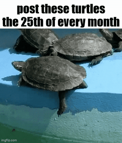 Turtle Statue Sitting On Table GIF
