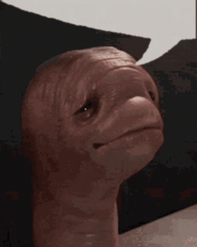 Turtle Statue With Black Pillow GIF
