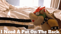Turtle Toy I Need A Pat On The Back GIF