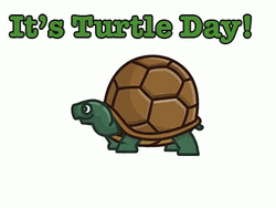 Turtle Tuesday Hiding In Shell Cartoon GIF