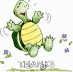Turtle Tuesday Jumping For Joy GIF