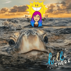 Turtle Tuesday Peeking Head Hello There GIF