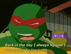Turtle Tuesday Teen Age Mutant Ninja Turtle GIF