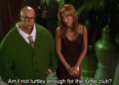 Turtle Turtle Neck GIF
