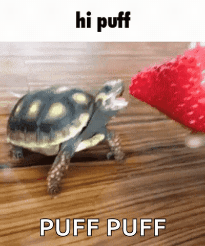 Tortuga caminando junto a una fresa GIF