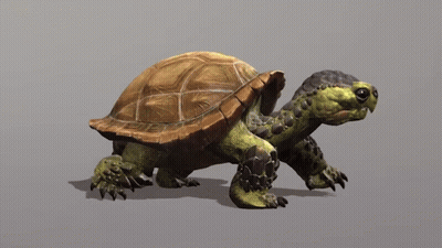 Turtle With Brown Shell And Green Head GIF
