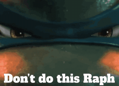 Turtle With Do Not Do This Raph GIF