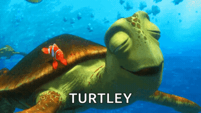 Turtle With Fish On Back Saying Turtley GIF