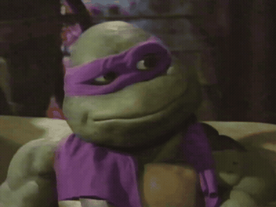 Turtle With Purple Mask GIF