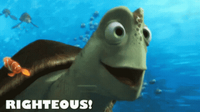 Turtle With Righteous GIF