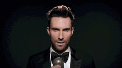 Tuxedo Adam Levine Sugar GIF