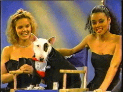Tuxedo Spuds Mac Kenzie GIF