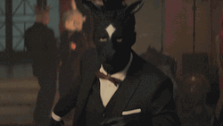 Tuxedo Zebra Mask GIF