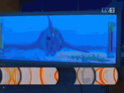 TV Screen Showing Shark Swimming In Ocean GIF