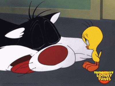 Tweety And Sylvester Looney Tunes Cartoon GIF