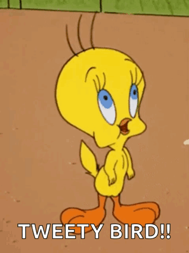Tweety Bird From The Looney Tunes Cartoon Is Standing On The Ground With His Mouth Open . GIF