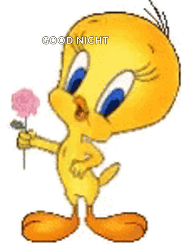 Tweety Bird Is Holding A Pink Rose In His Hand And Saying Good Night . GIF