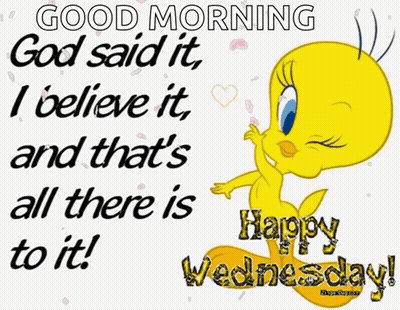 Tweety Bird Says Good Morning God Said It I Believe It Happy Wednesday GIF
