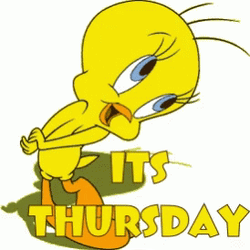 Tweety Bird Thursday Night Football Watching GIF