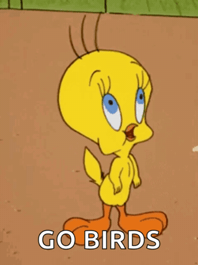 Tweety From The Looney Tunes Cartoon Is Standing On A Dirt Field And Says Go Birds . GIF