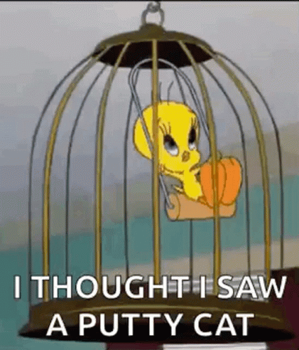 Tweety Is Sitting In A Cage With The Words `` I Thought I Saw A Putty Cat '' Written On It . GIF