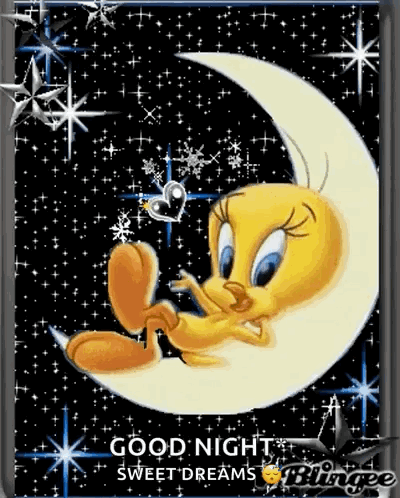 Tweety Is Sitting On A Crescent Moon With The Words Good Night Sweet Dreams Below Him GIF