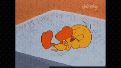 Tweety Laying On Blanket With Duck GIF